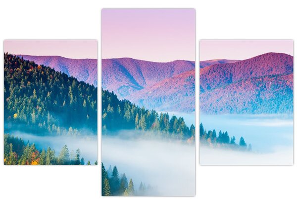 Obraz - Panorama 2 (90x60 cm)