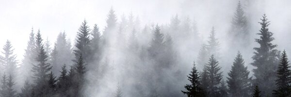 DIMEX | Fototapeta do kuchyne Hmla KI-180-143 | 180 x 60 cm | čiernobiela
