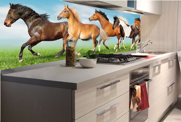 DIMEX | Fototapeta do kuchyne Stádo koní KI-180-111 | 180 x 60 cm | zelená, modrá, hnedá