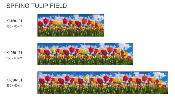 DIMEX | Fototapeta do kuchyne Tulipánové pole KI-260-131 | 260 x 60 cm | zelená, modrá, červená, žltá