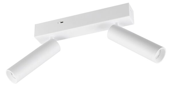 Trio T849210231 LED bodové stropné svietidlo AMBALA integrovaný LED zdroj | 2x500lm | 2300+3000+4000K
