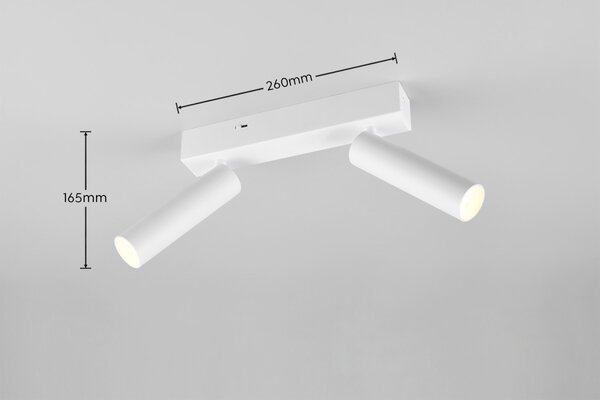Trio T849210231 LED bodové stropné svietidlo AMBALA integrovaný LED zdroj | 2x500lm | 2300+3000+4000K