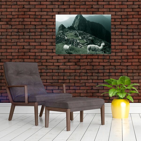 Obraz - Lamy na Machu Picchu v Peru (70x50 cm)