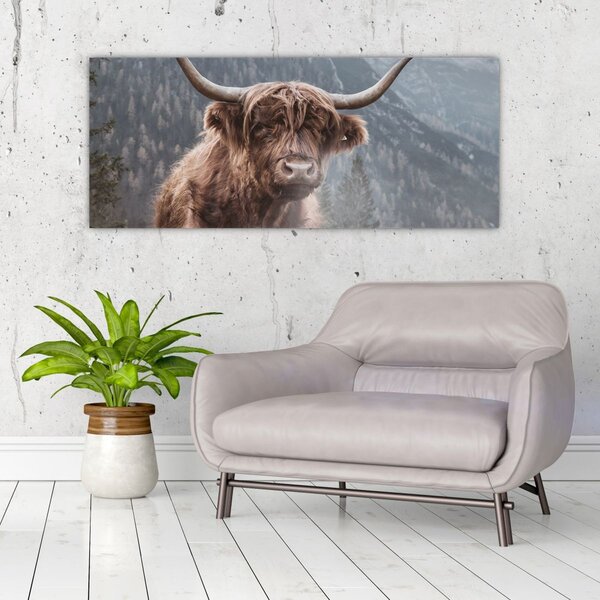 Obraz - Highlander krava (120x50 cm)