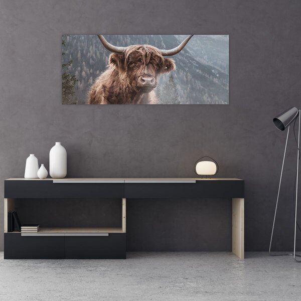 Obraz - Highlander krava (120x50 cm)