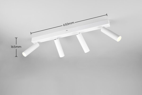 Trio T849210431 LED bodové stropné svietidlo AMBALA integrovaný LED zdroj | 4x500lm | 2300+3000+4000K