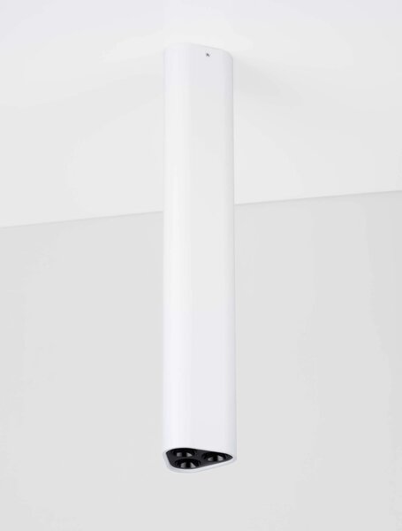 LED bielo-čierne dizajnové stropné svietidlo Etho 30 – Biela