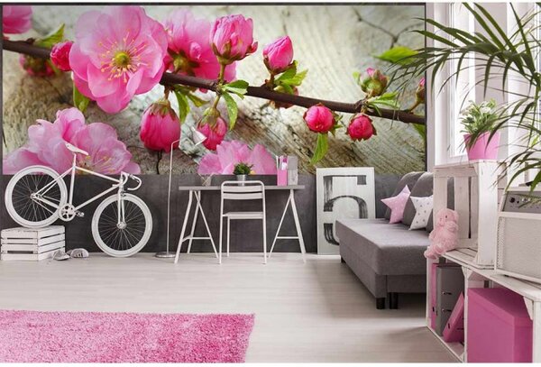 DIMEX | Panoramatická vliesová fototapeta na stenu Sakura MP-2-0109 | 375 x 150 cm | ružová, zelená, béžová