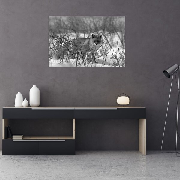 Obraz - Líška v zime (90x60 cm)