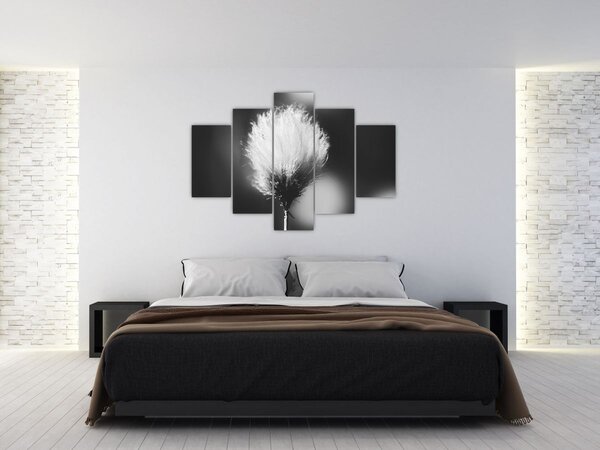 Obraz - Čiernobiely cottongrass (150x105 cm)