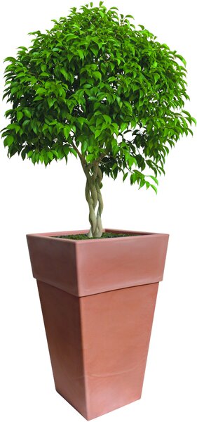 BAMA Kvetináč SENSATIONE 50 cm, hnedý BAMA