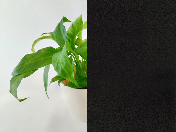 DIMEX | Statická zatemňovacia fólia DWF-FB-02 | šírka 44,5 cm | čierna