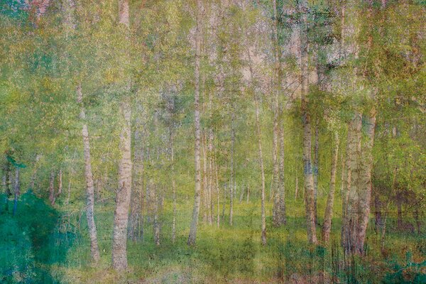 DIMEX | Vliesové fototapety na stenu Abstrakt listy MS-5-0351 | 375 x 250 cm | zelená, žltá