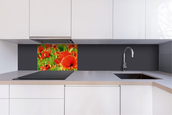 DIMEX | Dibond doska za kuchynskú linku | DBW-06040-028 Červené vlčie maky | 60 x 40 cm