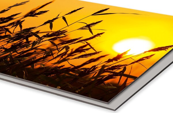 DIMEX | Dibond doska za kuchynskú linku | DBW-10060-128 Západ slnka | 100 x 60 cm