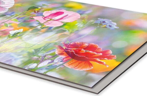 DIMEX | Dibond doska za kuchynskú linku | DBW-18060-199 Letná farebná lúka | 180 x 60 cm