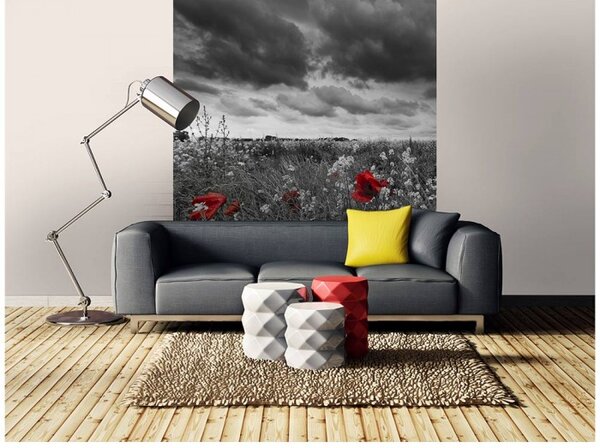 DIMEX | Vliesová fototapeta na stenu Čiernobiele vlčie maky MS-3-0091 | 225 x 250 cm | čiernobiela, červená