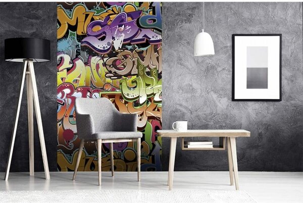 DIMEX | Vliesové fototapety na stenu Graffiti MS-2-0322 | 150 x 250 cm | viacfarebná