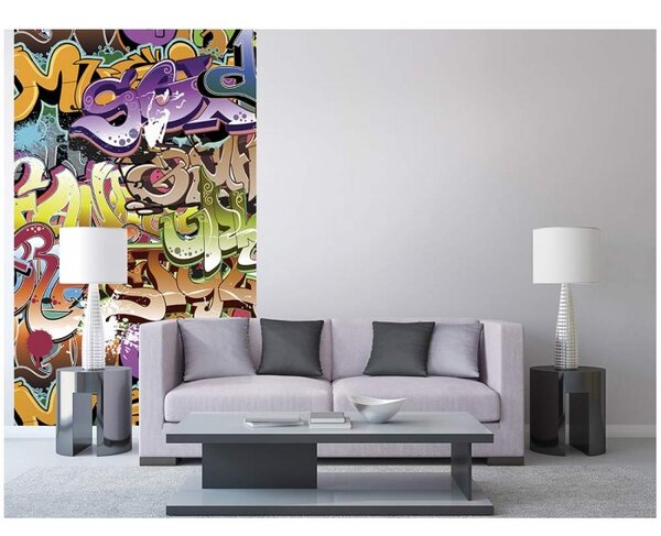 DIMEX | Vliesové fototapety na stenu Graffiti MS-2-0322 | 150 x 250 cm | viacfarebná