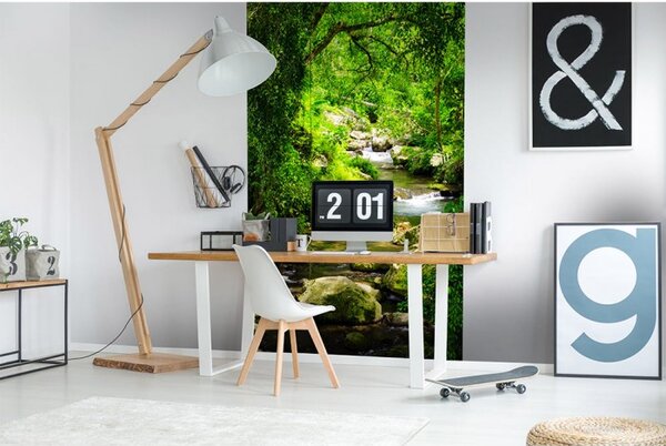 DIMEX | Vliesové fototapety na stenu Horský potok MS-2-0079 | 150 x 250 cm | zelená, béžová