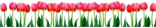 DIMEX | Fototapeta do kuchyne Tulipány KI-350-058 | 350 x 60 cm | zelená, červená