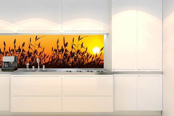 DIMEX | Fototapeta do kuchyne Trstina KI-180-128 | 180 x 60 cm | čierna, žltá, oranžová