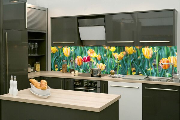 DIMEX | Fototapeta do kuchyne Tulipány KI-260-122 | 260 x 60 cm | zelená, červená, žltá