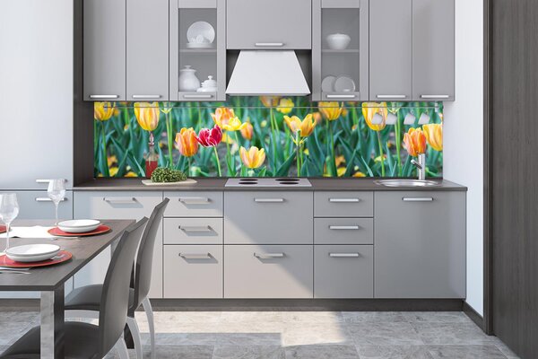 DIMEX | Fototapeta do kuchyne Tulipány KI-260-122 | 260 x 60 cm | zelená, červená, žltá