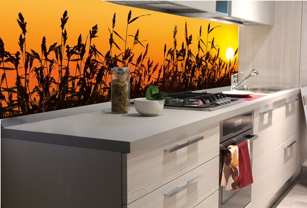 DIMEX | Fototapeta do kuchyne Trstina KI-180-128 | 180 x 60 cm | čierna, žltá, oranžová