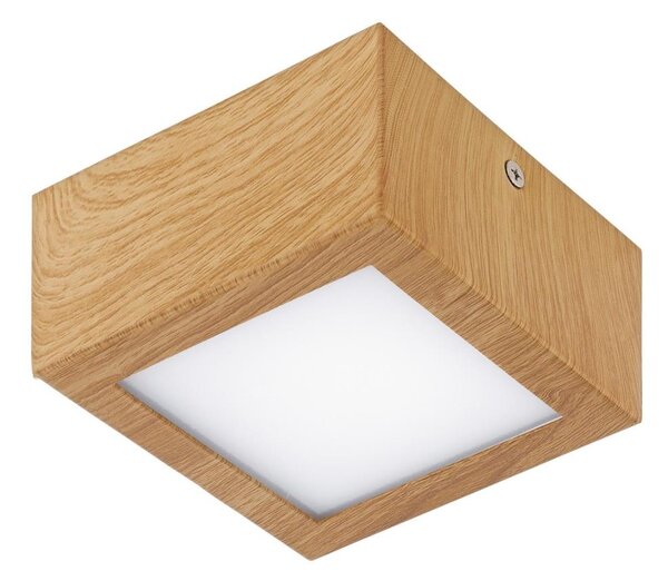 Eglo 95195 - LED stropné svietidlo COLEGIO 1xLED/4,2W/230V