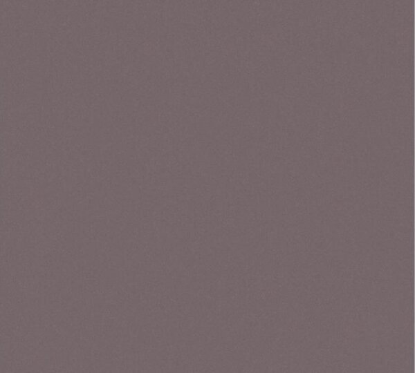 A.S. Création | Vliesová tapeta na stenu Trendwall 3690-62 | 0,53 x 10,05 m | hnedá