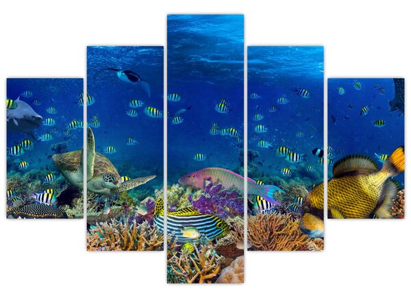Obraz - Oceán (150x105 cm)