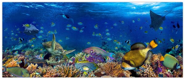 Obraz - Oceán (120x50 cm)