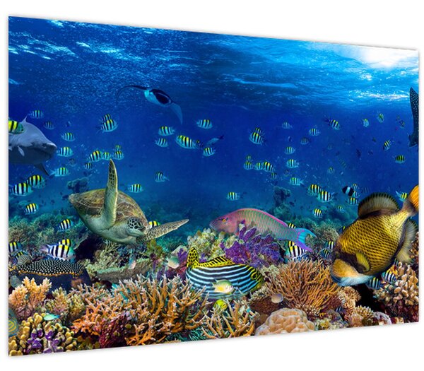 Obraz - Oceán (90x60 cm)