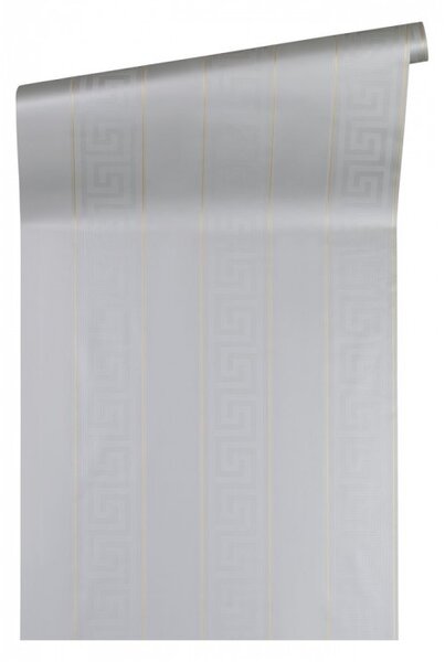 A.S. Création | Vliesová tapeta na stenu VERSACE 93524-5 | 0,70 x 10,05 m | metalická