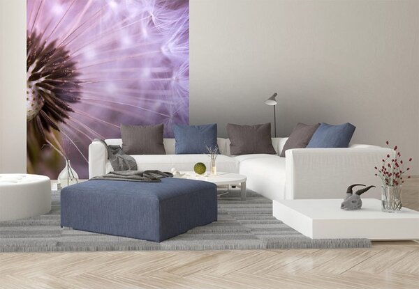 DIMEX | Vliesová fototapeta na stenu Púpava MS-3-0124 | 225 x 250 cm | ružová, hnedá, biela