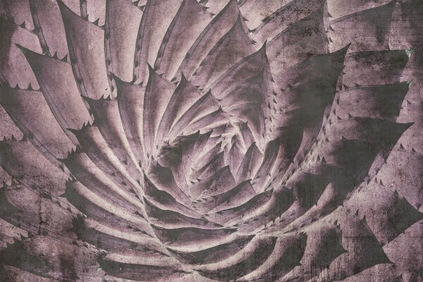 DIMEX | Vliesové fototapety na stenu Abstrakt kaktus MS-5-0352 | 375 x 250 cm | fialová, čierna