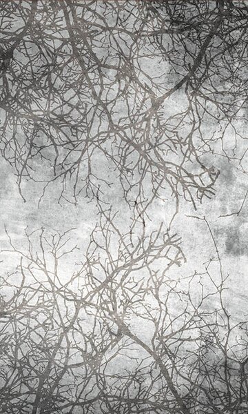 DIMEX | Vliesové fototapety na stenu Abstrakt vetvy MS-2-0386 | 150 x 250 cm | čierna, šedá