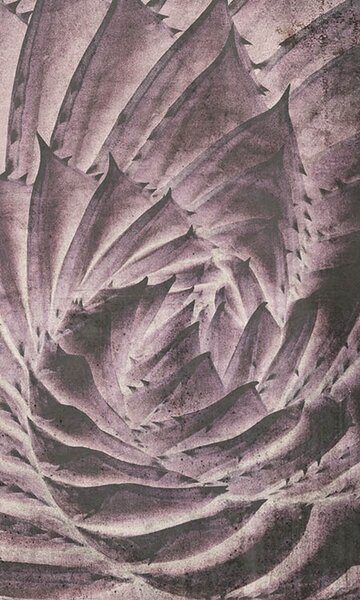 DIMEX | Vliesové fototapety na stenu Abstrakt kaktus MS-2-0352 | 150 x 250 cm | fialová, čierna