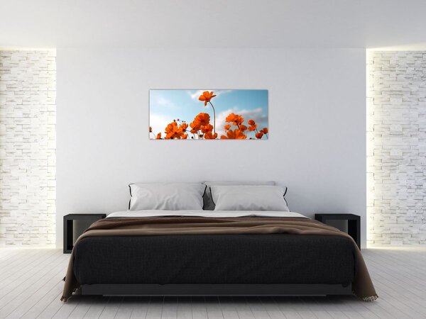 Obraz - Lúčne kvety (120x50 cm)