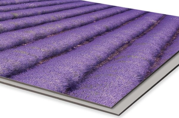 DIMEX | Dibond doska za kuchynskú linku | DBW-18060-029 Levanduľa | 180 x 60 cm