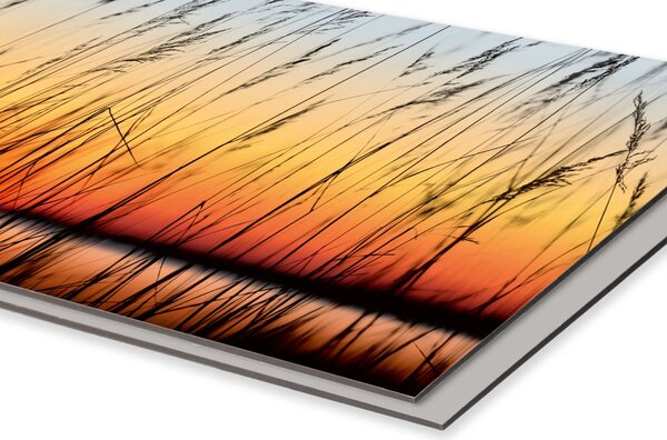 DIMEX | Dibond doska za kuchynskú linku | DBW-06060-129 Rákos | 60 x 60 cm