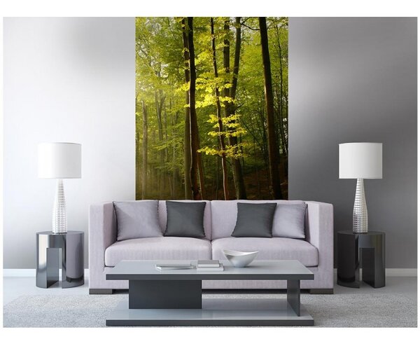 DIMEX | Vliesové fototapety na stenu Les MS-2-0098 | 150 x 250 cm | zelená, hnedá