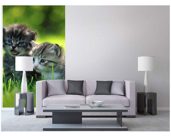 DIMEX | Vliesové fototapety na stenu Mačiatka MS-2-0222 | 150 x 250 cm | zelená, šedá