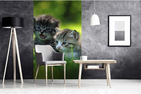 DIMEX | Vliesové fototapety na stenu Mačiatka MS-2-0222 | 150 x 250 cm | zelená, šedá