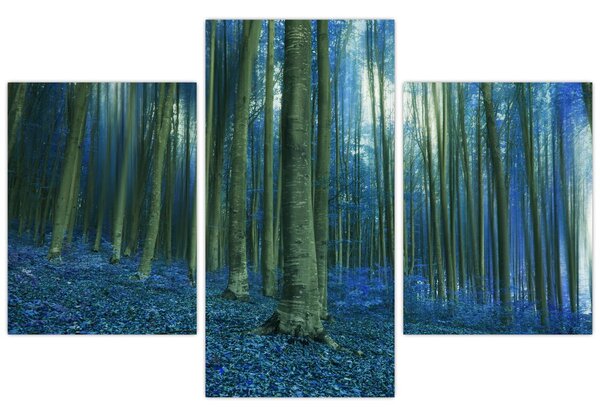 Obraz - Modrý les (90x60 cm)