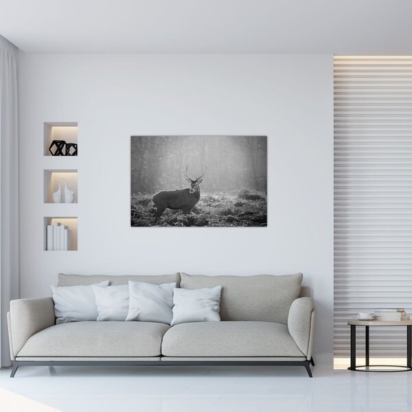 Obraz - Jeleň v lese, čiernobiela (90x60 cm)