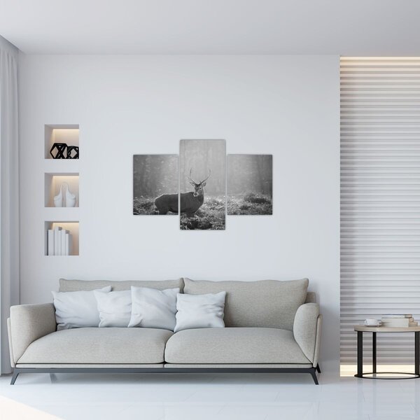 Obraz - Jeleň v lese, čiernobiela (90x60 cm)