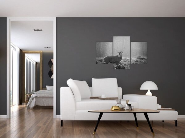 Obraz - Jeleň v lese, čiernobiela (90x60 cm)
