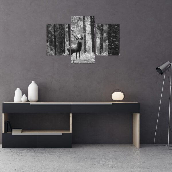Obraz - Jeleň v lese 2, čiernobiela (90x60 cm)